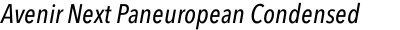 Avenir Next Paneuropean Condensed Medium Italic